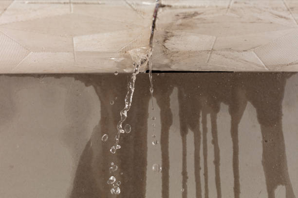 Professional Water Damage Inspection technician working in Montville, CT